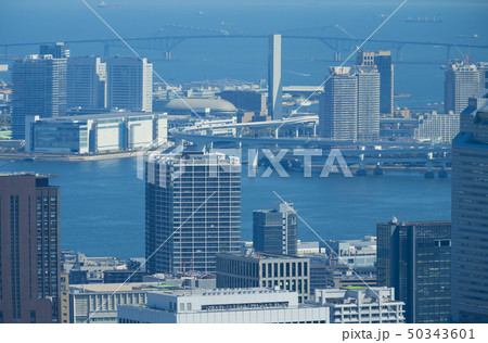 東京風景　2019　六本木から望遠で望む湾岸エリア　芝浦　有明　お台場　東京ゲートブリッジ 50343601
