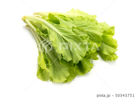 べかな べかな 50343751