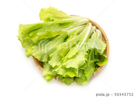 べかな べかな 50343752