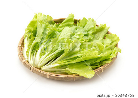 べかな べかな 50343758