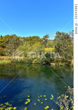 秋の箱根湿生花園 50343861