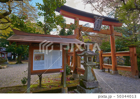 島根(山陰の小京都) 津和野の弥栄神社 50344013