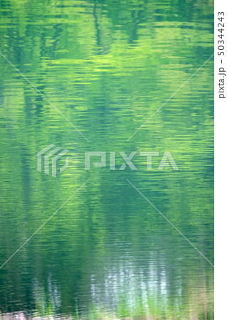 エメラルドグリーン 水面 新緑 エメラルドグリーン 水面 新緑 50344243