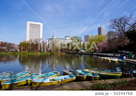春の中島公園(北海道 札幌市) 50344768
