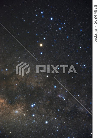 さそり座 50344928
