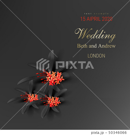Tropical black leaves and exotic red flower 50346066