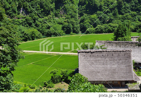 世界遺産　五箇山　菅沼合掌造り集落 50346351