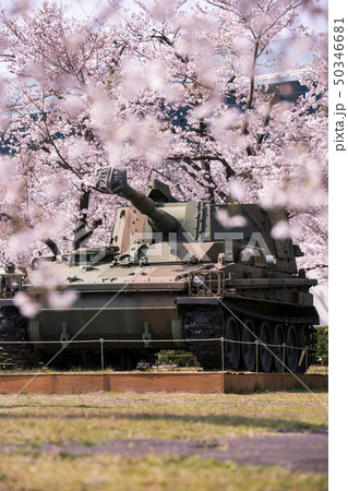 宇治駐屯地の戦車と桜 宇治駐屯地の戦車と桜 50346681