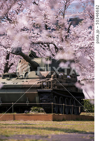 宇治駐屯地の戦車と桜 50346682