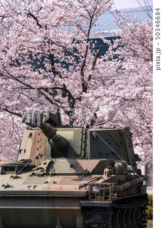 宇治駐屯地の戦車と桜 50346684