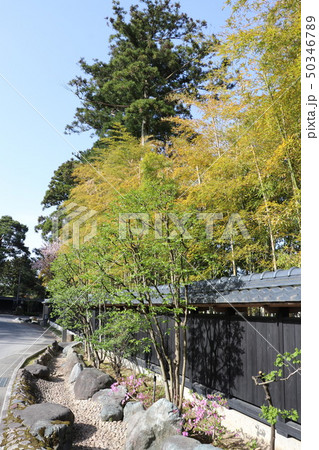 竹林と黒塀のある風景 50346789