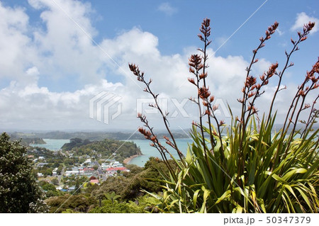 ラッセル ニュージーランド ラッセル ニュージーランド 50347379