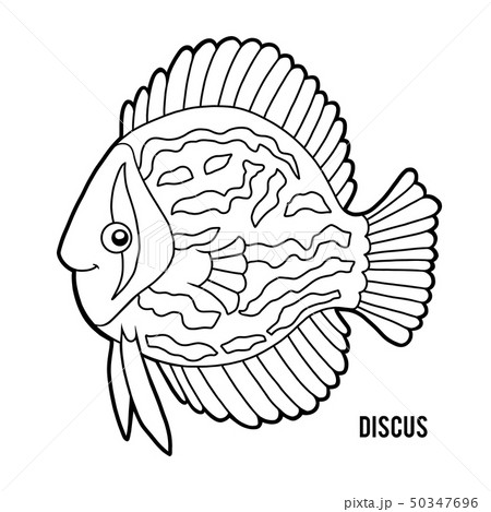 Coloring book, Discus fish 50347696