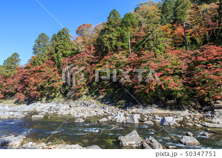香嵐渓の紅葉　愛知県 50347751