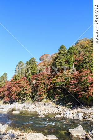 香嵐渓の紅葉 愛知県 香嵐渓の紅葉 愛知県 50347752