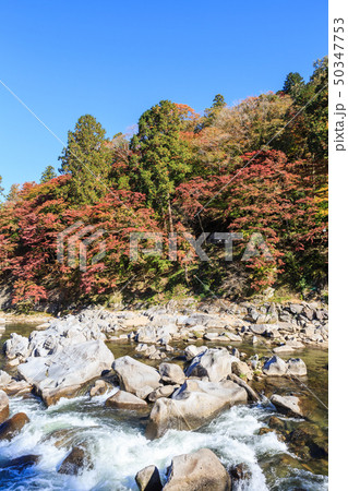 香嵐渓の紅葉 愛知県 香嵐渓の紅葉 愛知県 50347753