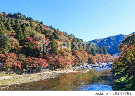 香嵐渓の紅葉 愛知県 香嵐渓の紅葉 愛知県 50347768