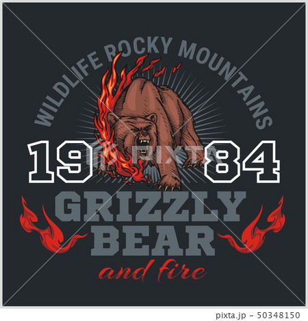 grizzly bear and fire, emblem elements - vector illustration grizzly bear and fire, emblem elements - vector illustration 50348150