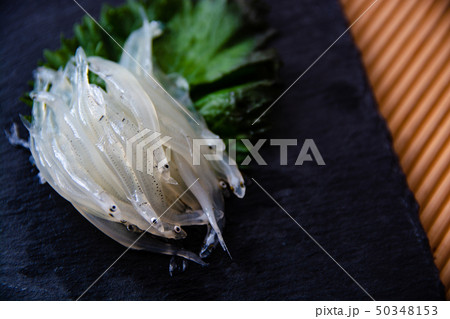 白魚　刺身 50348153