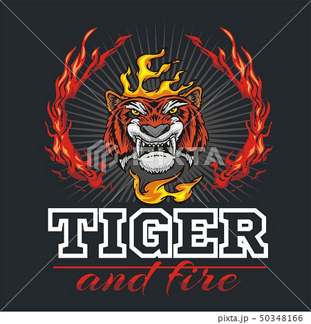 Tiger head hand and fire - vector illustration Tiger head hand and fire - vector illustration 50348166