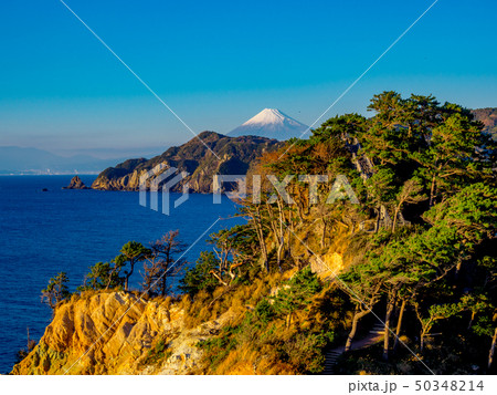 【伊豆半島ジオパーク】静岡県西伊豆黄金崎から見る富士山【冬】 【伊豆半島ジオパーク】静岡県西伊豆黄金崎から見る富士山【冬】 50348214
