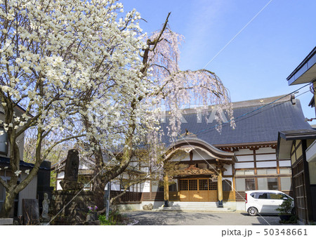 角館にある松庵寺(秋田県仙北市) 角館にある松庵寺(秋田県仙北市) 50348661