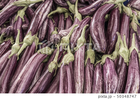 pile of eggplants / aubergines pile of eggplants / aubergines 50348747