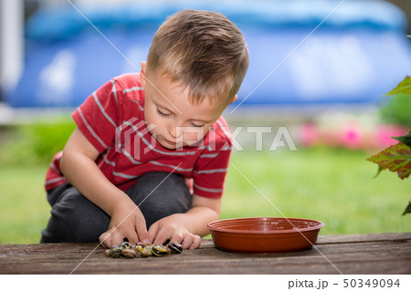 Little boy playing with tiny snails Little boy playing with tiny snails 50349094