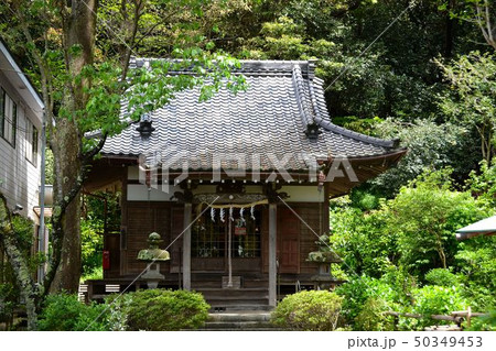 鎌倉新緑の古刹妙本寺 鎌倉新緑の古刹妙本寺 50349453