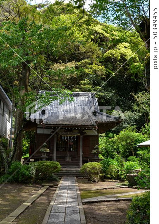 鎌倉新緑の古刹妙本寺 50349455