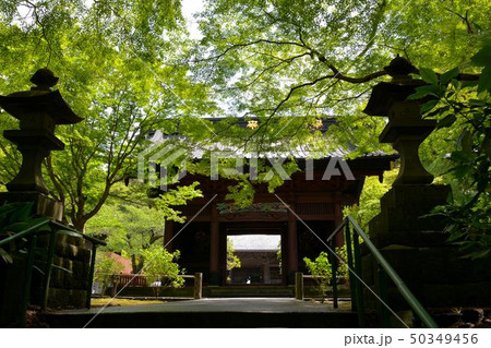 鎌倉新緑の古刹妙本寺 50349456