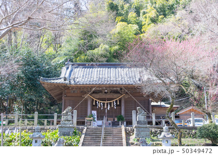 高尾山　明治の森　高尾山口駅側の氷川神社 50349472