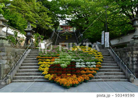 防府天満宮参道令和の花文字 50349590