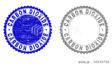 Grunge CARBON DIOXIDE Scratched Stamp Seals 50350730