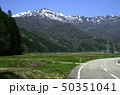 佐渡の春 50351041