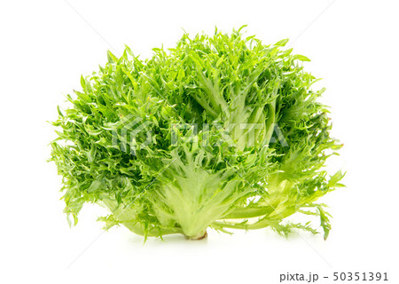 ハンサムグリーン 50351391