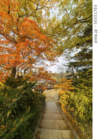 神勒寺 寺院 節 50351763
