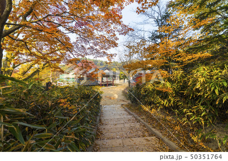 神勒寺 寺院 節 50351764