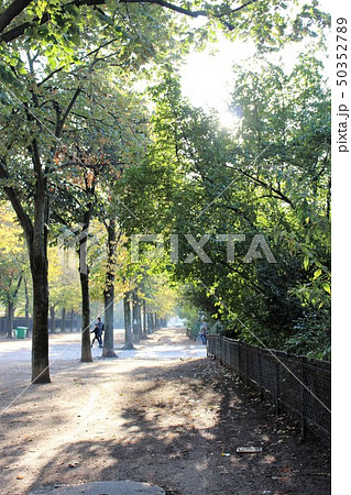 パリ シャン・ド・マルス公園 パリ シャン・ド・マルス公園 50352789