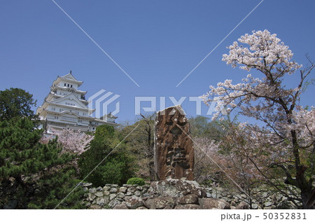 兵庫県姫路市:姫路城と公徳碑(桜) 兵庫県姫路市:姫路城と公徳碑(桜) 50352831