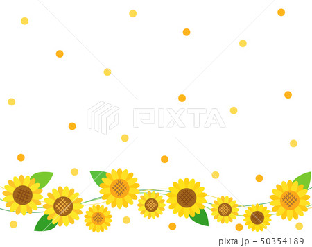 ひまわり30 ひまわり30 50354189