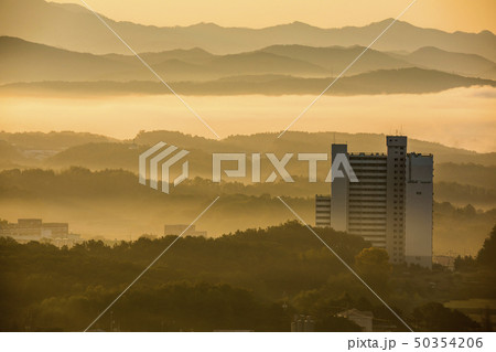 霧 雲海 山 50354206