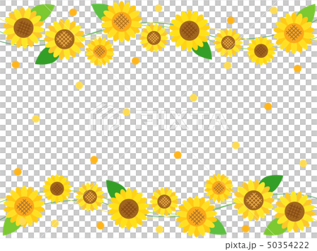 向日葵のラインと水玉を組み合わせた可愛い夏のカード 50354222