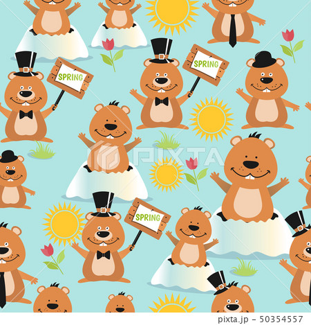 Happy Groundhog Day design seamless pattern with Happy Groundhog Day design seamless pattern with 50354557