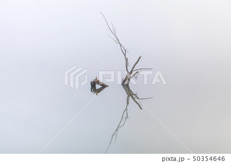 反射 反影 湖 50354646