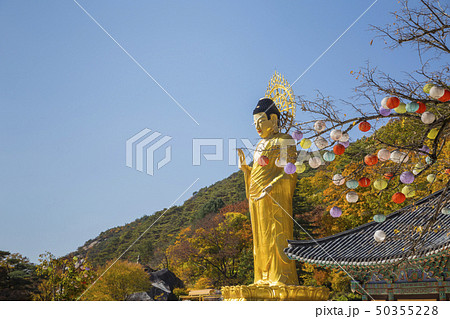 法住寺 寺院 節 50355228