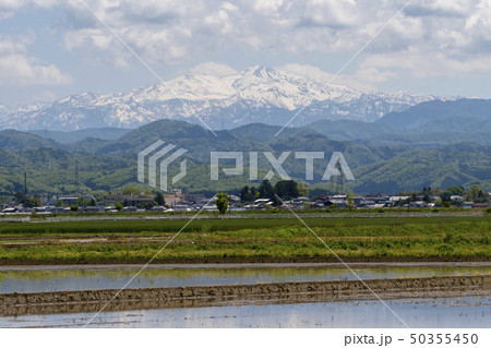 白山の遠望と田畑（石川県能美市大長野町より）2019年5月 50355450