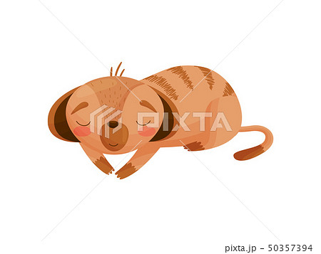 Cartoon gopher sleeps on his stomach. Vector illustration on white background. 50357394