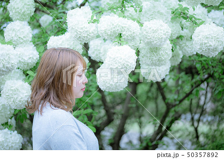 花(ビバーナム)と女性 花(ビバーナム)と女性 50357892