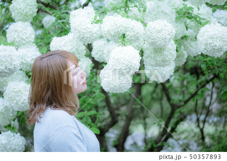 花（ビバーナム）と女性 50357893